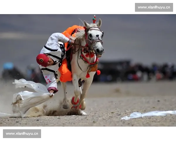 赛马竞技魅力全解析 赛事规则与赛场风云人物揭秘